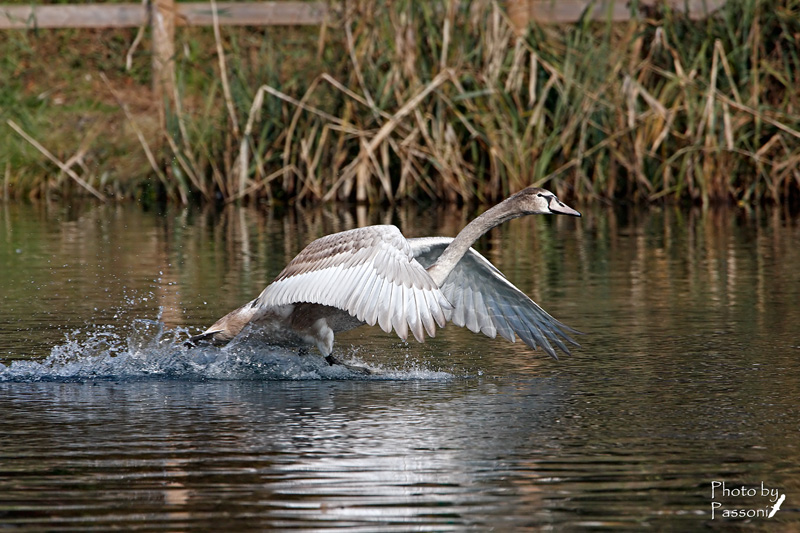 Landing!